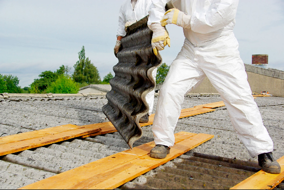 residential asbestos removal Auckland
