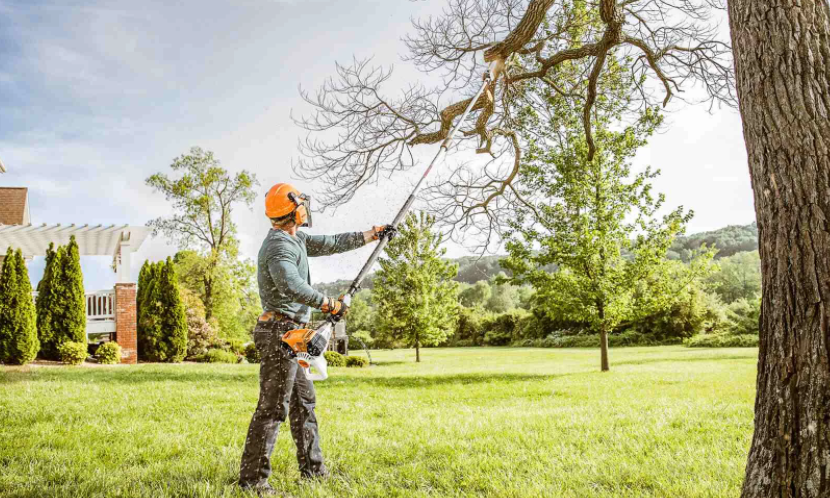 Benefits of Tree Trimming