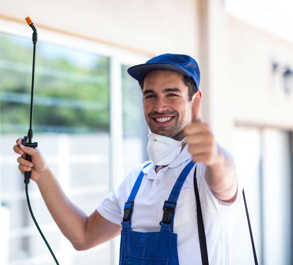 Termite control Tweed Heads