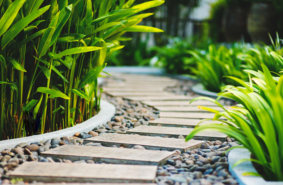 Landscape Design Christchurch