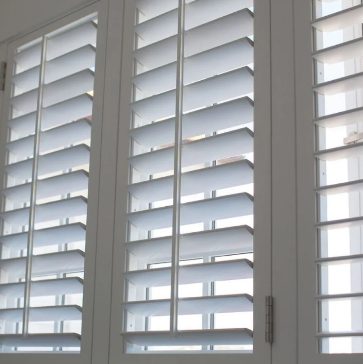 Windows Palmerston North