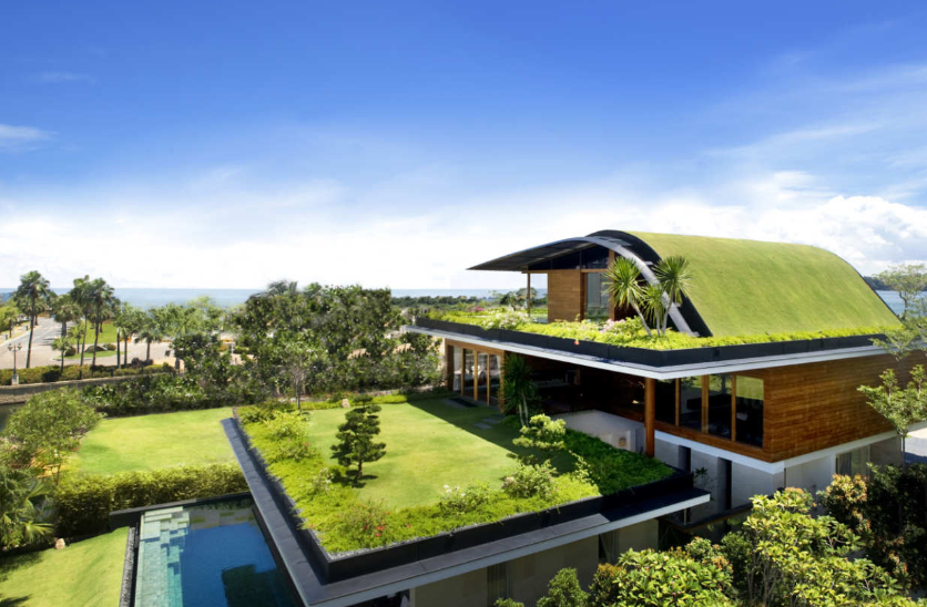green roofing Australia